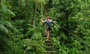 costa-rica-rainforest-jungle