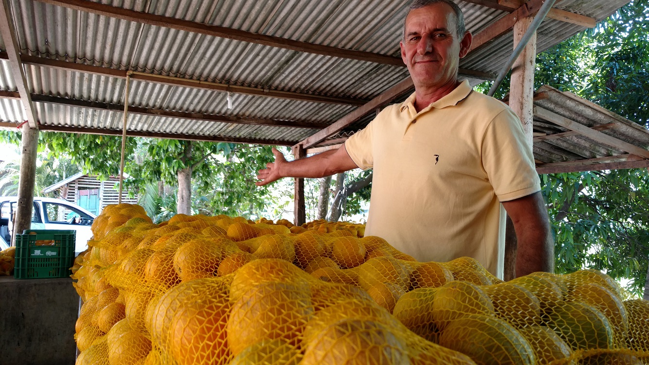 Produtor Antonio Cleber largou cultivo de tomate e só quer saber de laranja. Foto: Aline Proença