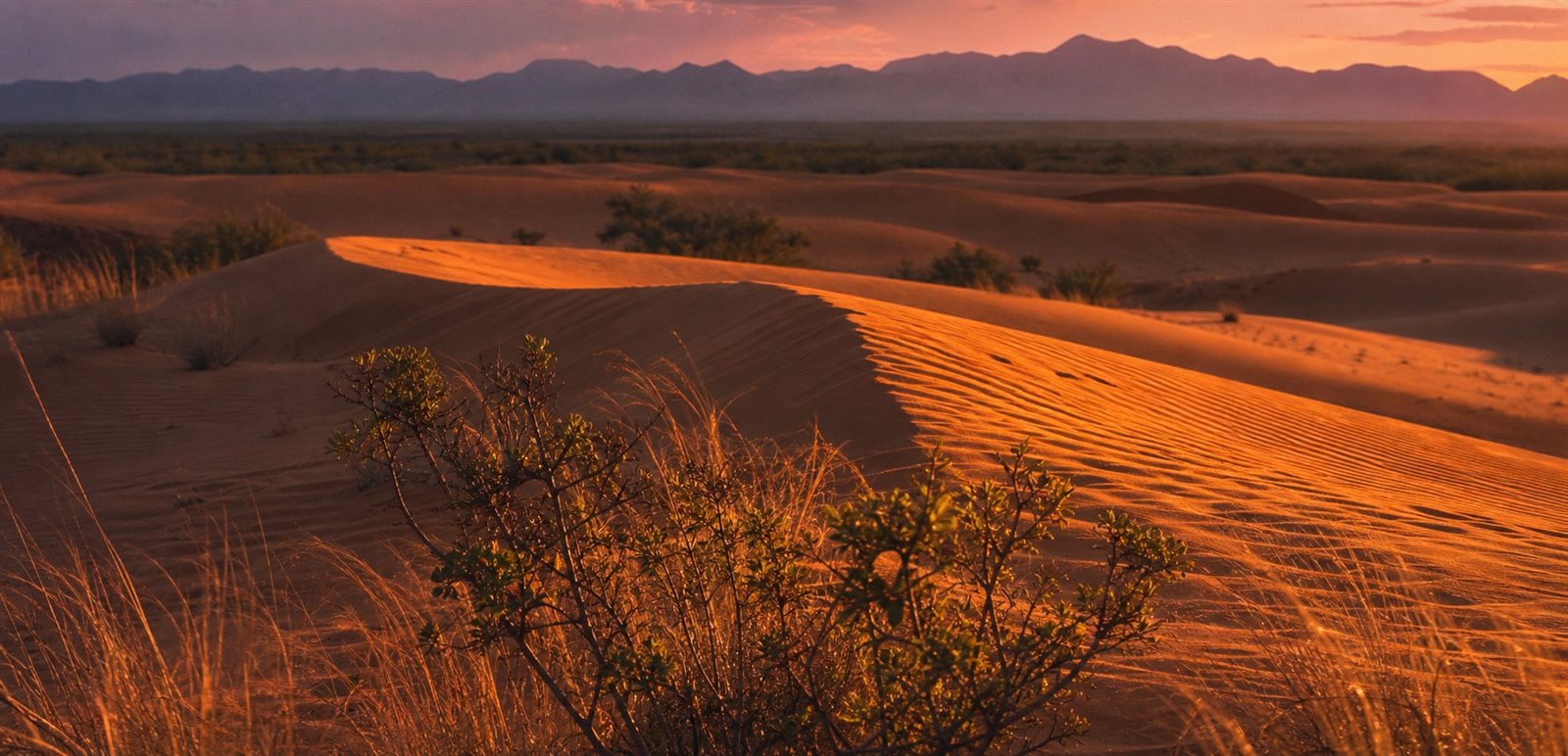 Jalapão: o deserto de águas cristalinas do cerrado tocantinense